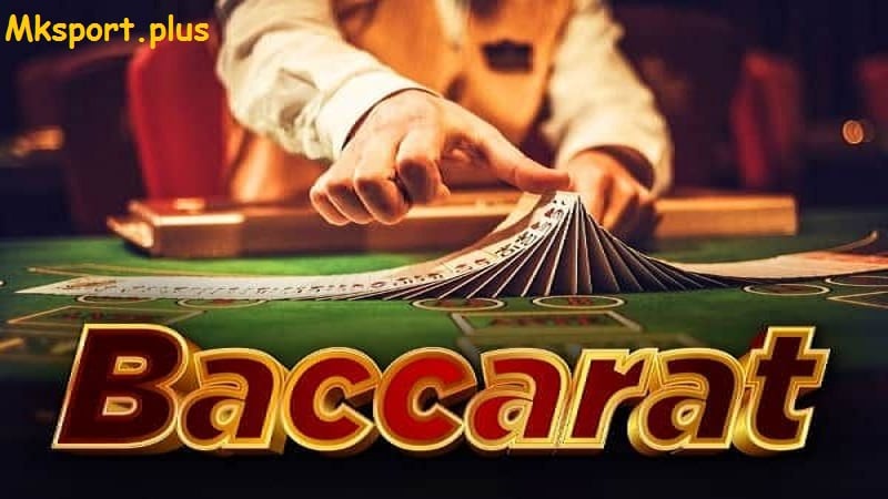 Chiến lược cho người mới chơi baccarat hay thắng