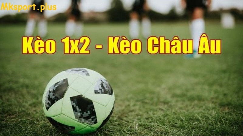 Tìm hiểu về kèo châu âu